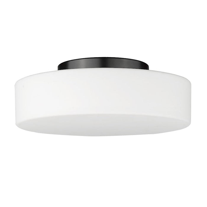 Golden Lighting Toli 1-Light Flush Mount