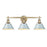 Golden Lighting Orwell 3 Light Bath Vanity