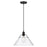 Golden Lighting Orwell BLK 1 Light Large Pendant, Black/Clear