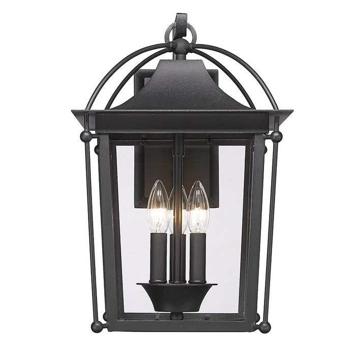 Golden Lighting Brigham Outdoor Wall Sconce, Natural Black