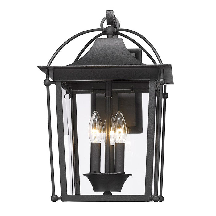 Golden Lighting Brigham Outdoor Wall Sconce, Natural Black