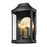 Golden Lighting Cohen 2 Light Outdoor Wall Mount, Black/Bronze - 4308-OWMNB-BCB