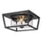 Golden Lighting Mercer 2-Light Outdoor Flush Mount, Black/Seeded - 4309-OFMNB-SD