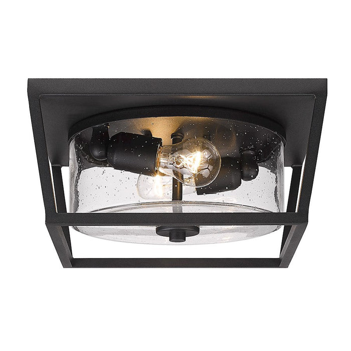 Golden Lighting Mercer 2-Light Outdoor Flush Mount, Black/Seeded