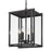 Golden Lighting Tribeca 4 Light Outdoor Pendant, Natural Black - 6071-O4PNB-CLR