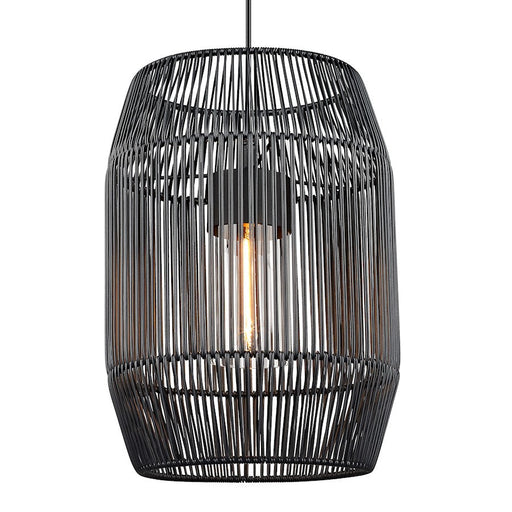 Golden Lighting Seabrooke 1-Light Outdoor Pendant, Black/Black - 6073-O1PNB-BCW