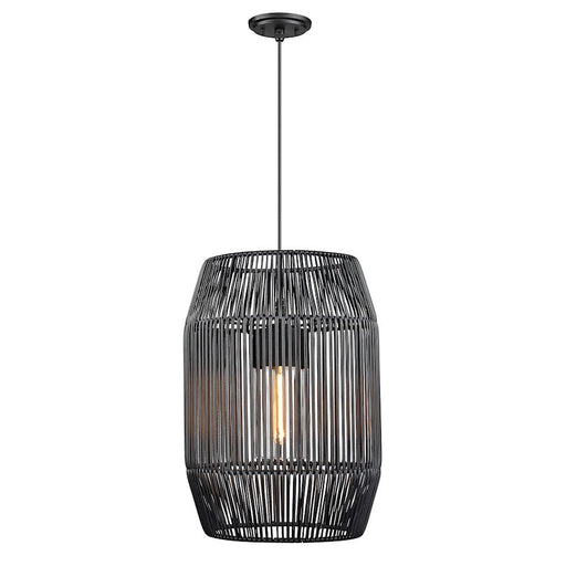 Golden Lighting Seabrooke 1-Light Outdoor Pendant, Black/Black