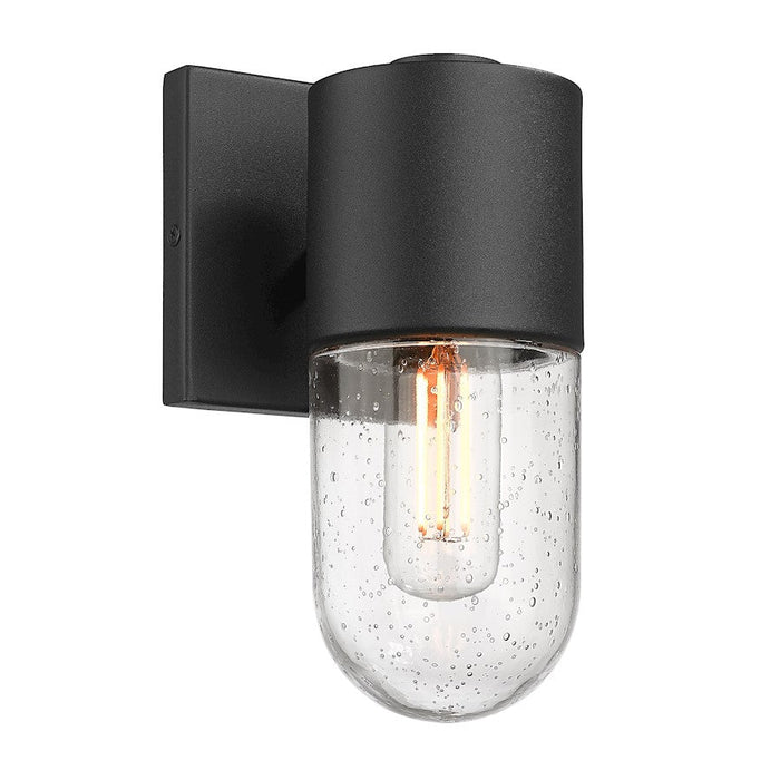 Golden Lighting Ezra 1-Light Outdoor Wall Light, Black/Seeded