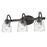 Golden Lighting Parrish 3 Light Bath, Rubbed Bronze/Seeded