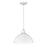 Hinkley Lighting 1 Light 16" Foundry Outdoor Hanging