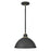 Hinkley Lighting 1 Light 16" Foundry Outdoor Hanging