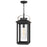 Hinkley Lighting Atwater 1 -LT Outdoor Medium Hanging Lantern, Black - 1162BK-LV