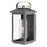 Hinkley Lighting Atwater Outdoor 1-LT Medium Wall, Ash Bronze/Clear - 1164AH-LL