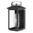 Hinkley Lighting Atwater Outdoor 1 Light Medium Wall, Black/Clear - 1164BK-LL