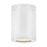 Hinkley Lighting Silo Outdoor 1-LT Flush Mount, Satin White/Etched - 13592SW-LL