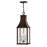 Hinkley Lighting Beacon Hill 3Lt Outdoor MED Hanging Lantern, CP/Seed - 17462BLC