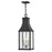 Hinkley Lighting Beacon Hill 3Lt Outdoor MED Hanging Lantern, BK/Seed - 17462MB