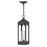 Hinkley Lighting Amina Outdoor 1 Light Hanging Lantern, Zinc/Clear - 18082DSZ