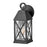 Hinkley Lighting Briar 1 Light Outdoor Small Sconce, Black/Clear Seedy - 23300MB