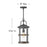 Hinkley Lighting Lakehouse 1 -LT Outdoor Med Hanging Lantern