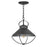 Hinkley Lighting Crew 1 Light Outdoor Hanging in Black - 2692BK