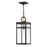 Hinkley Lighting Porter 1 Light Outdoor Med. Hanging Lantern, Black - 2802BK-LL