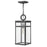 Hinkley Lighting Porter Outdoor 1 Light Hanging Lantern, Zinc/Clear - 2802DZ-LL