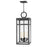 Hinkley Lighting Porter Outdoor 4-LT Single Tier Pendant, Zinc/Clear - 2808DZ-LL