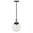 Hinkley Lighting Jameson 1 Light Outdoor Hanging in Black - 2872BK