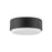 Hinkley Lighting Cedric 2 Light Medium Flush Mount, Black - 30073BK