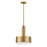 Hinkley Lighting Cedric 2 Light Medium Pendant, Lacquered Brass - 30074LCB