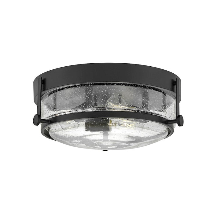 Hinkley Lighting Harper 3 Light Small Flush Mount, Black/Clear Seedy - 3640BK-CS