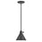 Hinkley Lighting Arti 1 Light Pendant in Black - 3697BK