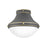 Hinkley Lighting Oliver 1 Light Small Flush Mount, Grey/Etched Opal - 39051DMG