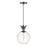 Hinkley Lighting Palma 1 Light Small Pendant, Black Oxide - 41927BX