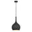 Hinkley Lighting Ziggy 1 Light Interior Hanging in Black - 4457BK