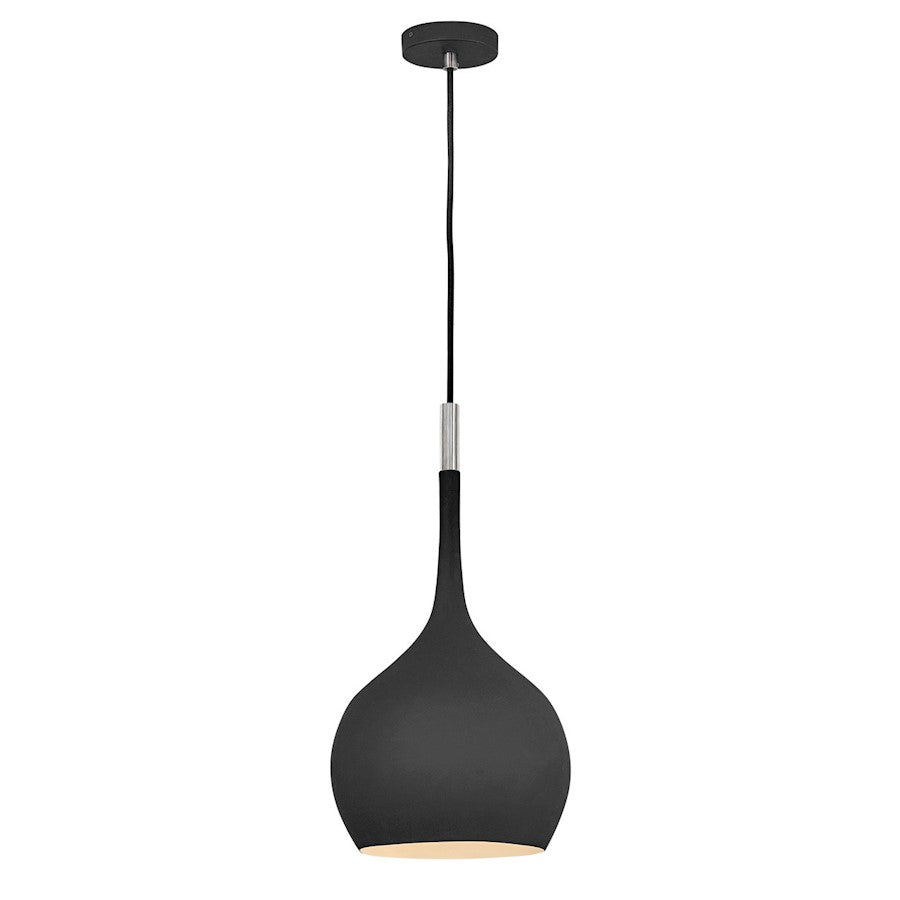 Hinkley Lighting Ziggy 1 Light Interior Hanging in Black - 4457BK