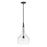 Hinkley Lighting Ziggy 1 Light Medium Pendant, Black/Clear glass - 4457BK-CL