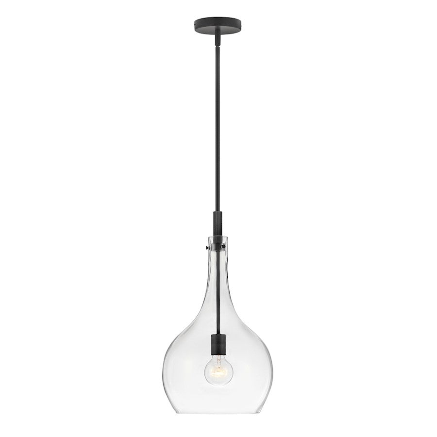 Hinkley Lighting Ziggy 1 Light Medium Pendant, Black/Clear glass - 4457BK-CL