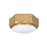 Hinkley Lighting Hex 2 Light Interior Ceiling in Warm Brass - 4581WS