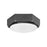 Hinkley Lighting Hex 3 Light Interior Ceiling in Brushed Graphite - 4583BGR