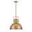 Hinkley Lighting Nautique 1 Light LG Pendant, Brass/Etched Opal - 49065HB-HB