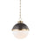 Hudson Valley Latham 1 Light 17" Pendant, Aged/Antique Bronze - 4025-ADB