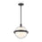 Hudson Valley Northport 1 Light 14" Pendant, Old Bronze/Clear Glass - 6514-OB