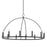 Hudson Valley Howell 12 Light Chandelier, Aged Iron - 9547-AI