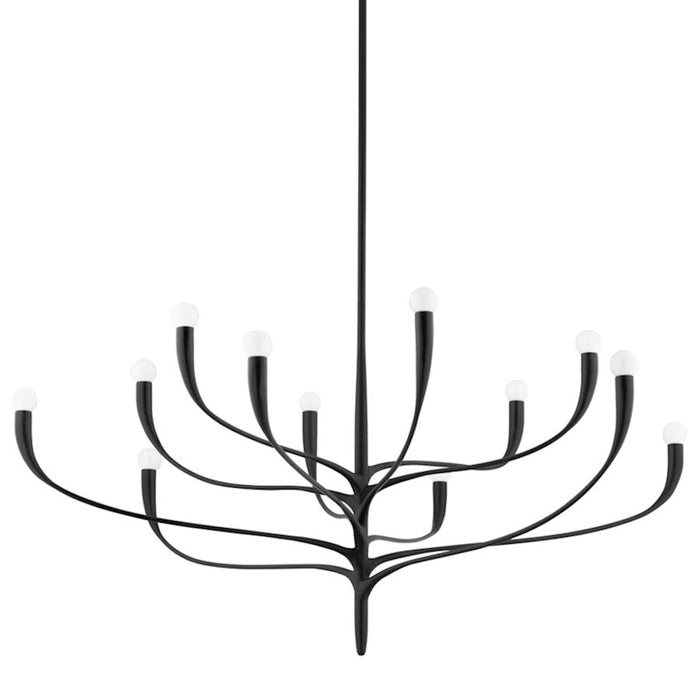 Hudson Valley Labra 12 Light Chandelier, Aged Iron - 9612-AI