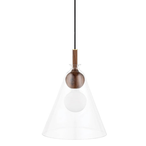 Mitzi Dani 1 Light 22" Pendant, Aged Brass/Clear - H380701A-AGB