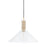 Mitzi Besa 1 Light Pendant, Aged Brass/Clear