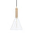 Mitzi Besa 1 Light 21" Pendant, Aged Brass/Clear - H622701S-AGB