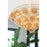 Mitzi Mimi Chandelier, Aged Brass/Champagne